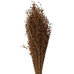 Clayre & Eef Droogbloemen Beige Droogbloemen