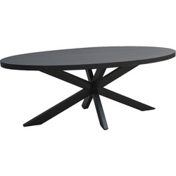 Livingfurn - Eetkamertafel Kala Oval Spider 180 cm - Mangohout / Gecoat Staal