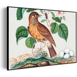 Muurwerken Akoestisch Schilderij - Prent Natuur Vogel en Bloemen 01 - Geluidsdempend Wandpaneel - Wanddecoratie - Geluidsisolatie - PRO (AW 0.90) XL (120x86)