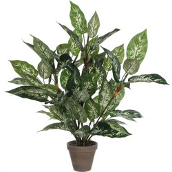 Mica Decorations Dieffenbachia Kunstplant in Bloempot Stan - H70 x Ø55 cm - Groen