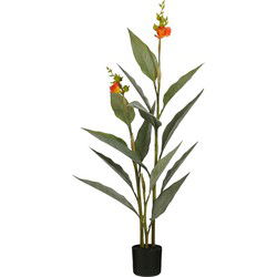 Mica Decorations Kunstplant Canna - 46x46x115 cm - Polyethyleen - Oranje