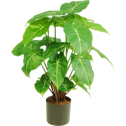 Hoyz Greenery - Kunstplant Syngonium 58 cm