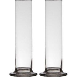 Bloemenvaas smal model - 2x stuks - voor 1 bloem - 25 x 6 cm - transparant - Vazen
