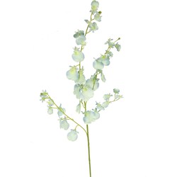 Greenmoods Kunsttak Orchidee - Nep plant - 1 Stuk - 80cm - Turquoise-