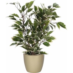 Groen/witte ficus kunstplant 40 cm met plantenpot parelgoud D13.5 en H12.5 cm - Kunstplanten