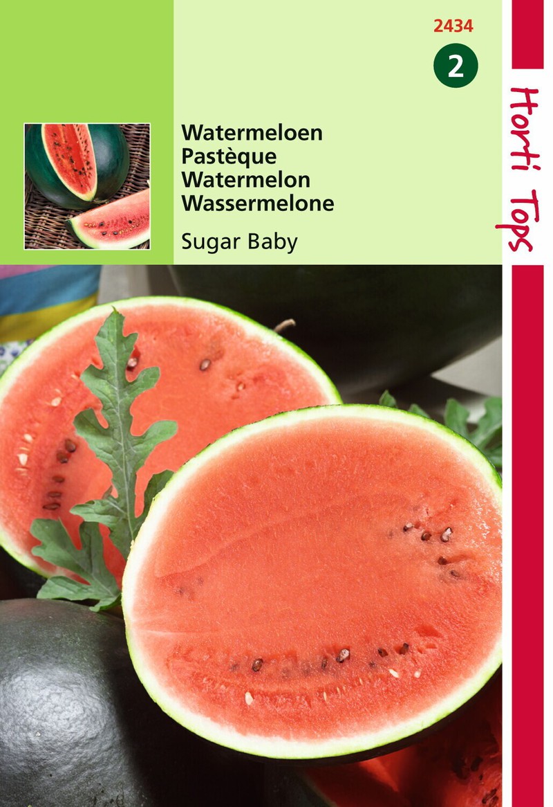 2 stuks - HT Watermeloenen Sugar Baby - Hortitops - 