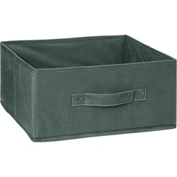 5Five Opbergmand/kastmand - vakkenkast - 14 liter - groen - 31 x 31 x 15 cm - Opbergmanden