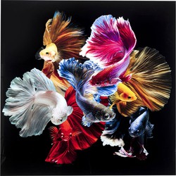 Kare Wandfoto Glass Colorful Swarm Fish