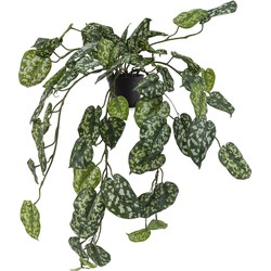 Greenmoods Kunst Hangplant Scdapsus - Scindapsus - Nep plant - 1 Stuk - 70cm