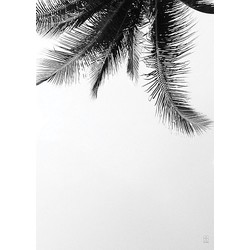SB Studio Poster 50 x 70 cm - Under the Palm Tree