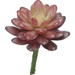 Kunst Sedum pick bordeaux - 16 cm