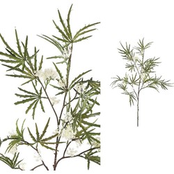 PTMD Twig Plant Aralia Bloem Kunsttak - 57 x 54 x 112 cm - Wit