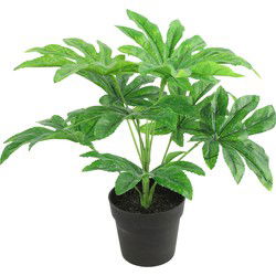 Countryfield Kunstplant Fatsia in bloempot - Groen - 15 x 32 cm - Kunstplanten