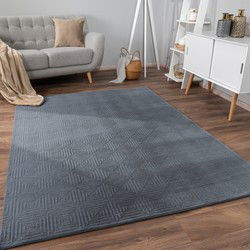 Laagpolig Vloerkleed Lely - Blokcs - Antraciet - 200x280 cm