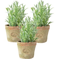 3x stuks kunstplanten rozemarijn kruiden in terracotta pot 16 cm - Kunstplanten