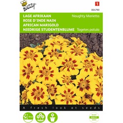 2 stuks - Tagetes patula nana Naughty Marietta