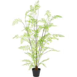 Greenmoods Kunst Varen plant - Nephrolepis exaltata - Nep plant - 1 Stuk - 120cm