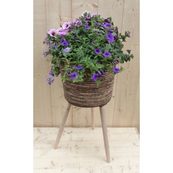 Rieten plantenbak bruin op poten met zomerbloeiers paars/blauw h65 cm