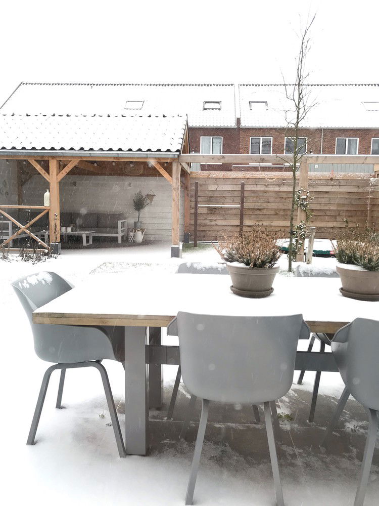 tuin in de winter