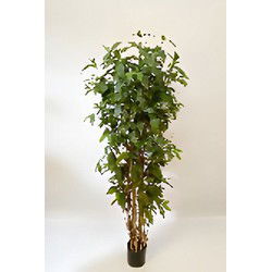 Dracaena surculosa 180 cm kunstplant Oosterik Home