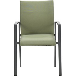 Dallas dining fauteuil carbon black/ moss green