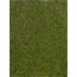 Moss mat green 50x50 cm kunstbloem