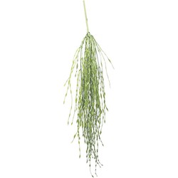 Ripselis 80 cm Kunstpflanze - Buitengewoon de Boet