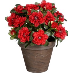 Mica Decorations Azalea Kunstplant in Bloempot Stan - H31 x Ø26 cm - Rood