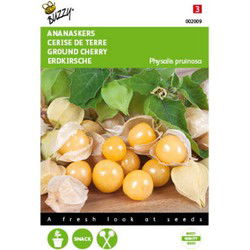 Ananaskers Tuinplus