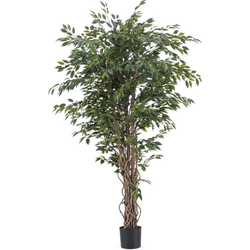 Hoyz Greenery - Kunstplant Ficus Liana 180 cm