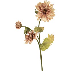 Greenmoods Kunstbloem Gedroogde - Nep plant - 1 Stuk - 85cm - Dahlia-