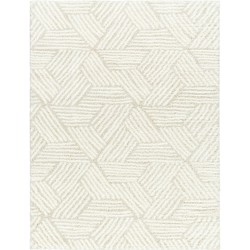 Hoogpolig Shaggy Tapijt ALLIE - Ivoor/LichtBeige - 160x213 cm 