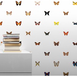 160 soorten vlinders - per rol