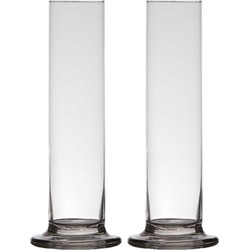 2x stuks luxe stijlvolle 1 bloem vaas/vazen 25 x 6 cm transparant glas - Vazen
