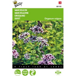 2 stuks - Marjolein Oregano