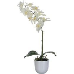 Mica Decorations Phalaenopsis Kunstplant - 16x16x60 cm - Wit