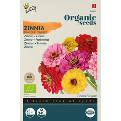 Zaden zinnia dahliabloemige 1.5 gram