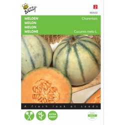 2 stuks - Meloenen Charentais - Buzzy