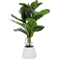 Kave Home - Kunstplant Lyrata 60 cm