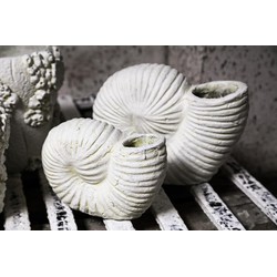 PTMD Deco Object Shelly - 27x11x20 cm - Cement - Wit