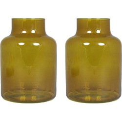 Set van 2x bloemenvazen - okergeel/transparant glas - H20 x D15 cm - Vazen