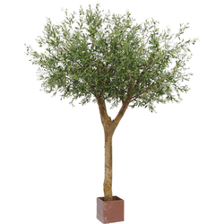 Greenmoods Olijfboom Met Olijven - Olea europaea - Nep plant - 1 Stuk - 260cm