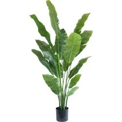 Hoyz Greenery - Kunstplant Strelitzia Nicolai 180 cm