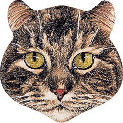 Clayre & Eef Magneet Kat 7x7 cm Bruin Keramiek
