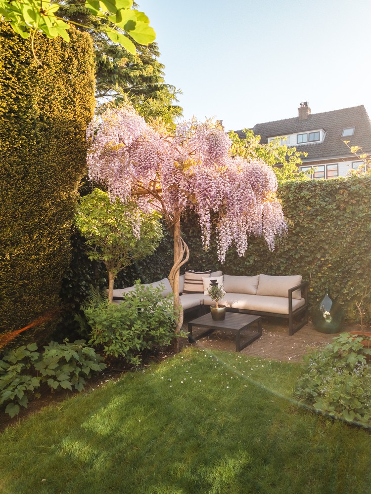 parasol-van-blauwe-regen-tuin