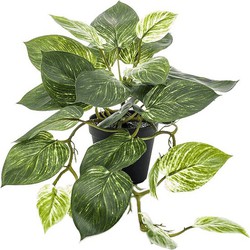 Scindapsus bush green/white 55 cm in pot kunstbloem zijde nepbloem