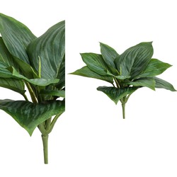 PTMD Leaves Plant Hosta Kunststruik - 18 x 28 x 25 cm - Groen