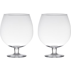 2x stuks luxe stijlvolle Brandy bloemenvaas/bloemenvazen 24 cm transparant glas - Vazen