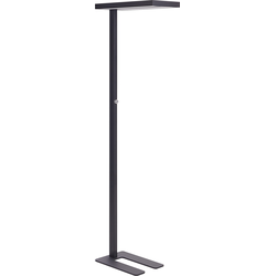 Beliani TAURUS - Staande lamp-Zwart-Aluminium