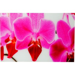 Cosmo Casa Glasafbeelding - Wandafbeelding - Poster Motief - Orchidee - 40x60cm